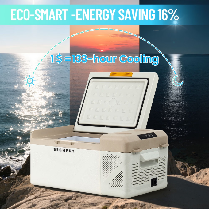 Syngae Cooler, Refrigerator for Outdoor Use, 24V/110V, 16.8QT Portable Mini Fridge with 2 Plugs